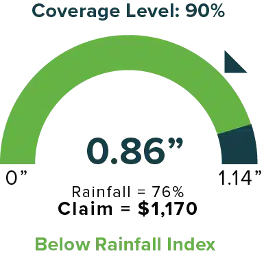 coverage-level-1.png