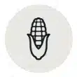 crop-type1.jpg