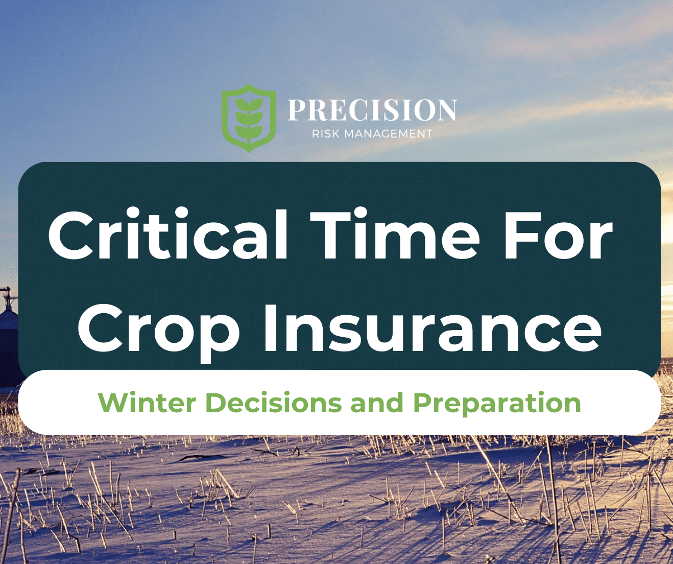 Winter Crop Insurance Decisions