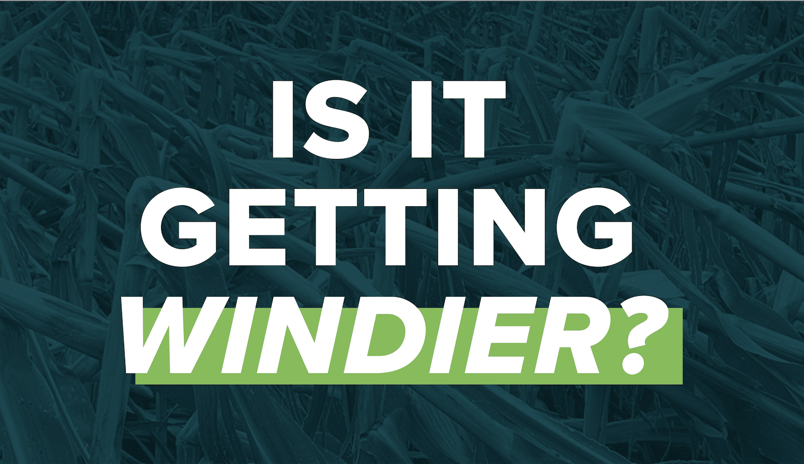 Is it getting windier?