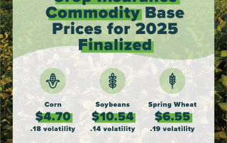 Base Prices 2025