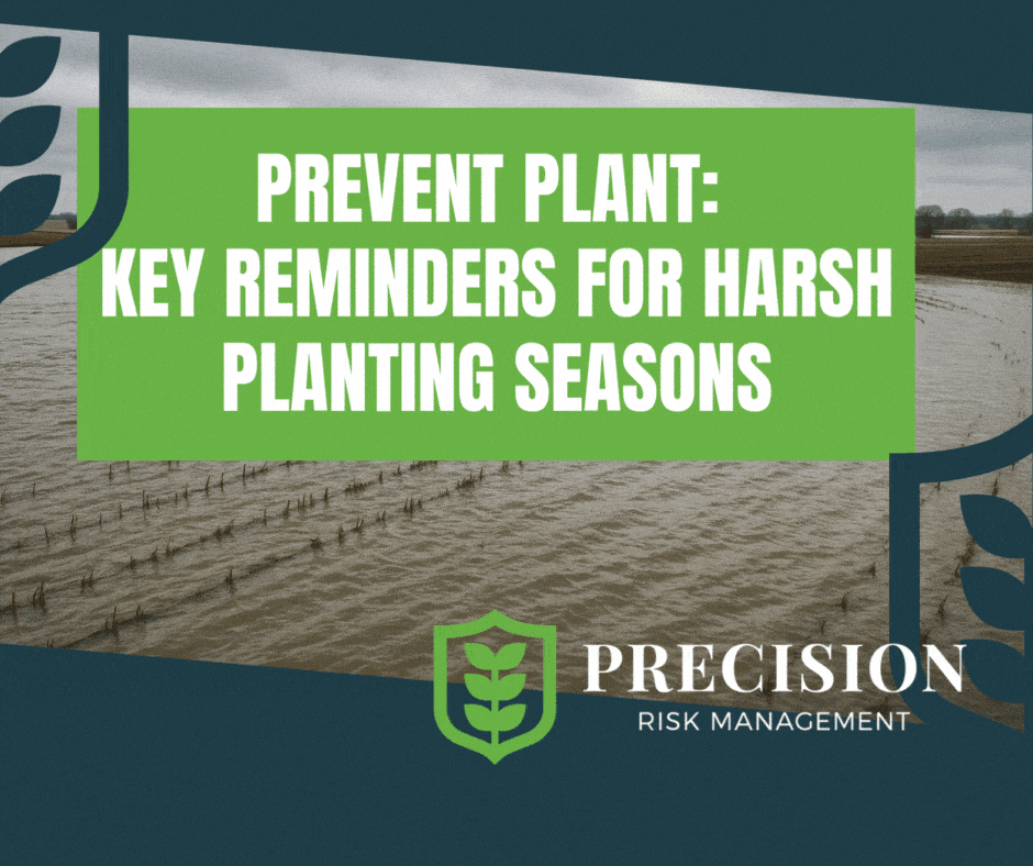 Prevent Plant