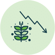 Protect against lower yields MCO
