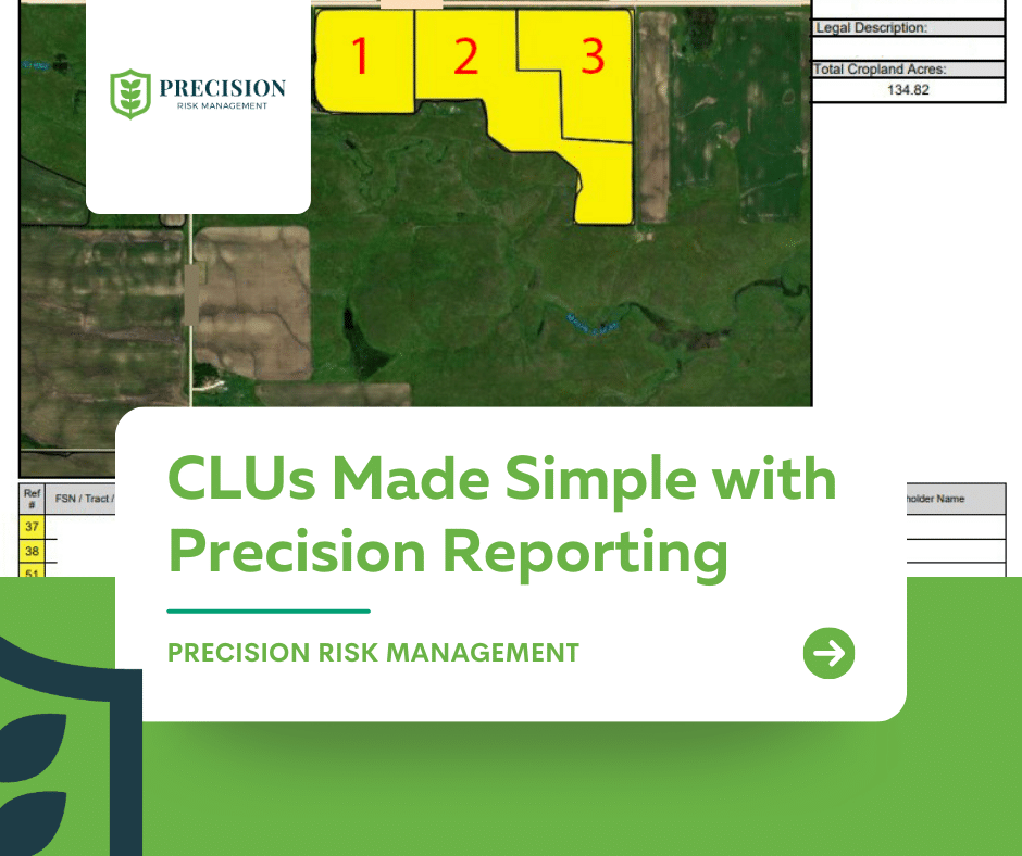 CLU and Precision