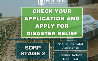 SDRP Stage 2