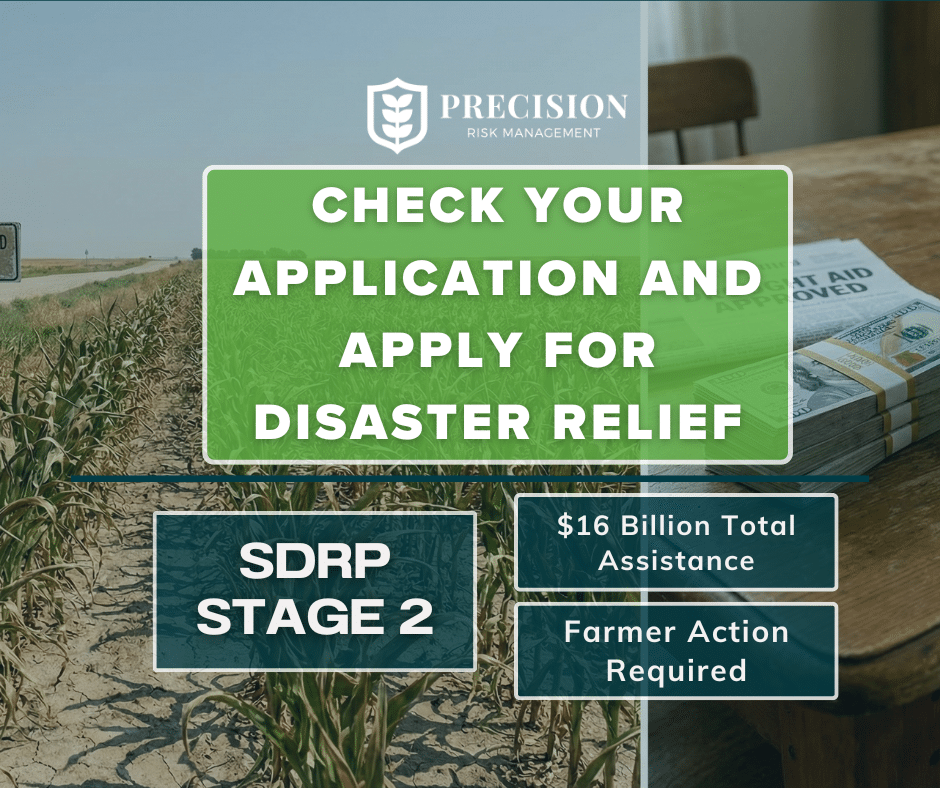 SDRP Stage 2